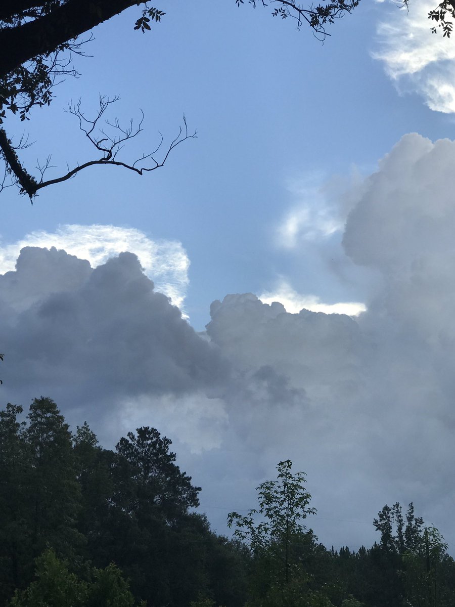 dirtroadherbals's tweet photo. @WEARAllenStrum @weatherchannel My bit of blue sky in Dorcas,FL! It was gone very fast!! #harveyrain #sleepweather https://t.co/SoQdBKdSHr