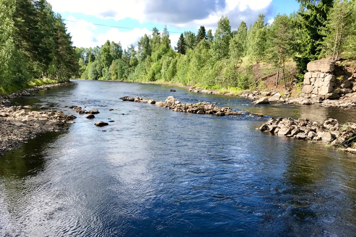 fishprep's tweet image. So very grateful for all the new waters, guides and businesses added to fishprep recently. Add them for free on fishprep.com.