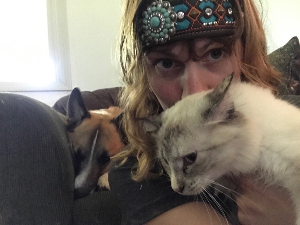 miaggithekitty's tweet photo. I hate my picture taken as a selfie. Never understood why people love it   #simonscatlogic #selfie @darkhorseofkc https://t.co/JEzSslZRqj