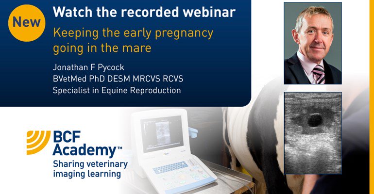 IMVimaging's tweet photo. Check out our free recorded webinar with Jonathan Pycock, a specialist in Equine Reproduction: https://t.co/aRMgpo1oGo #BEVA17 https://t.co/Gks2Wguh1R