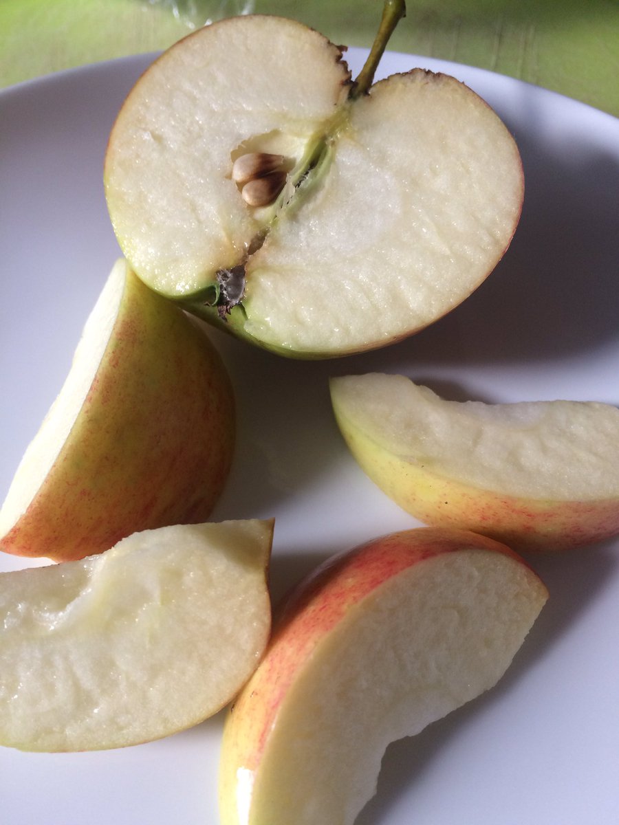 Hill Top Surgery tweet media