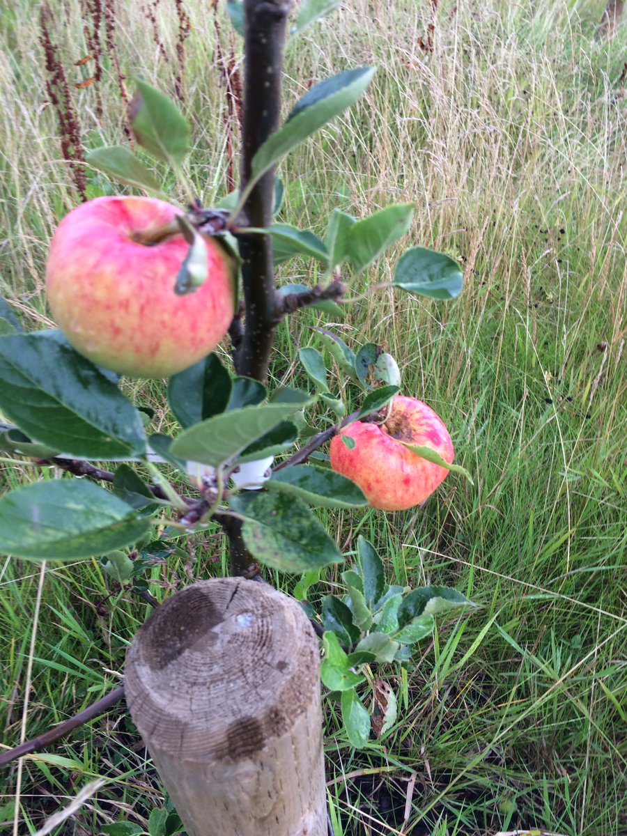 Hill Top Surgery tweet media