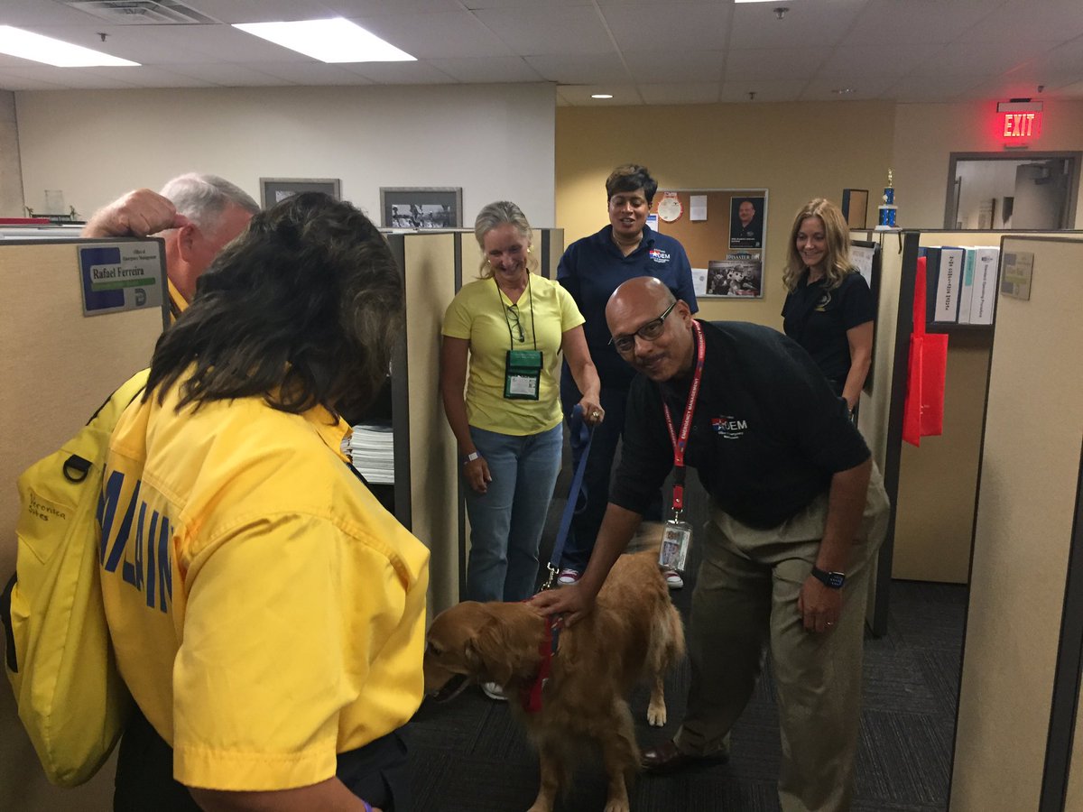 Dallas Emergency Management & Crisis Response tweet media