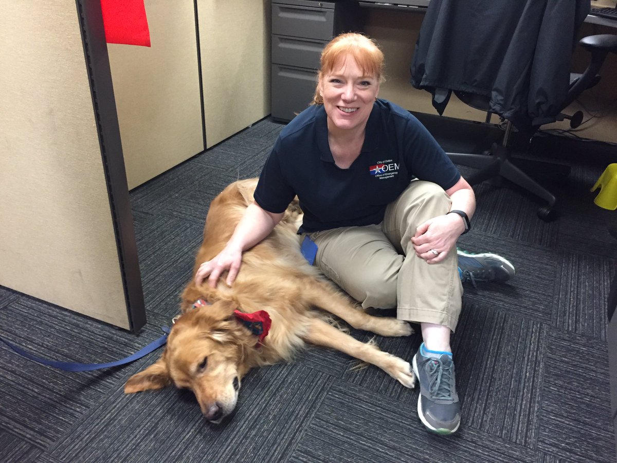 Dallas Emergency Management & Crisis Response tweet media