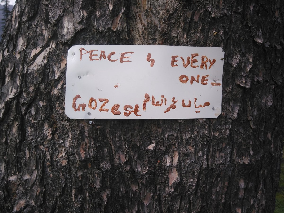 UmerInamPk's tweet photo. Peace 4 everyone!! That's my messages on #GozestReturns of #pya.
#ThankYouGoZest https://t.co/hKkUPaB052