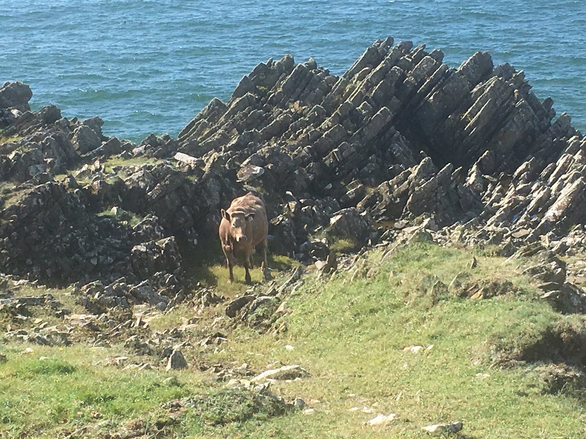 Hiding <a href="/russinblack/">👩🏼‍🤝‍👨🏻❤️🇬🇧</a> @ThreaveEstate <a href="/infiniteeye/">Infinite Eye</a> <a href="/Pulse2PulseUK/">#Pulse2PulseUK #DigitalMediaScotlandUK</a> <a href="/GACLochken/">Galloway Activity</a> <a href="/CarolineJRob/">Caroline Robertson</a> @lagganoutdoor <a href="/WilliamwoodLife/">Williamwood Cottages</a> <a href="/stockghylldeli/">StockGhyll Fine Food</a>