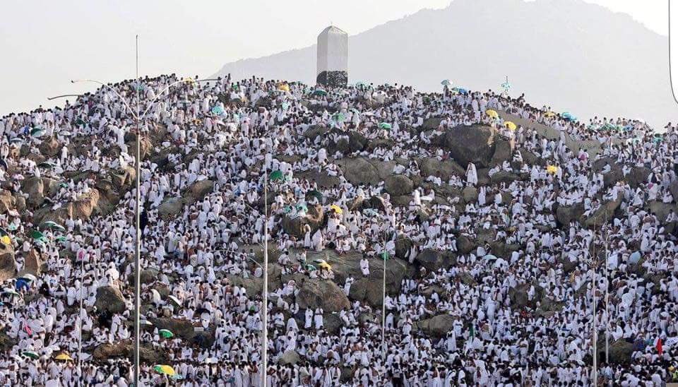 Alhamdhulillaah's tweet photo. Pilgrims gather in Mount Arafah for Hajj

No difference between race and wealth, everyone is equal https://t.co/QyOEYolSsx