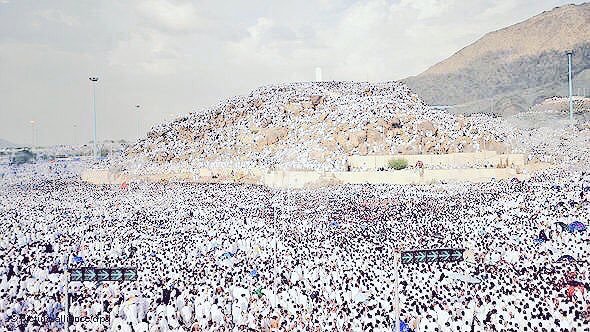 Alhamdhulillaah's tweet photo. Pilgrims gather in Mount Arafah for Hajj

No difference between race and wealth, everyone is equal https://t.co/QyOEYolSsx
