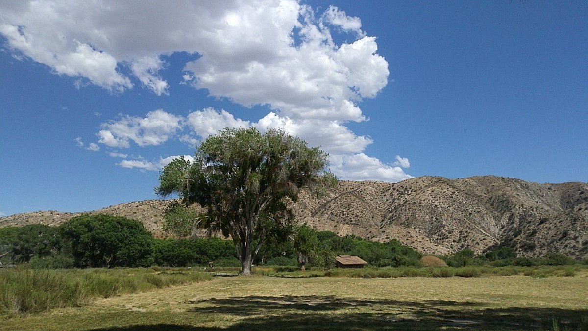 BigMorongo's tweet photo. Come down and explore some of our beautiful trails this weekend! But make sure you bring some water! https://t.co/FumiV0B2ht