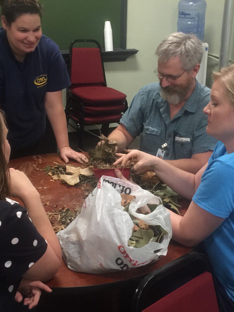 janetcarrie's tweet photo. Engineering practices @MehlvilleSD @SciTeachersofMO #sciteachers #collaborationandlearning @NSTA https://t.co/90Yv1lNHwJ