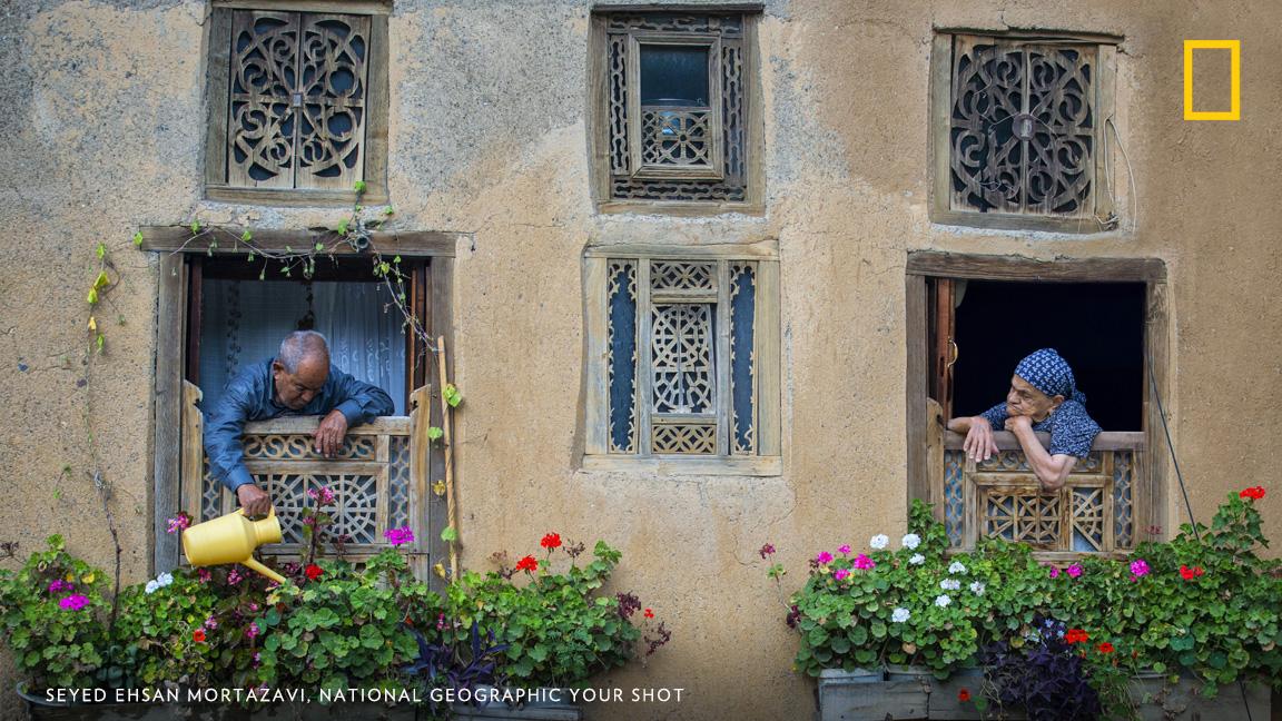 NatGeoHistory's tweet photo. Top Shot: This is Love https://t.co/nqHCBzO5RF https://t.co/UZoeSGE8y6