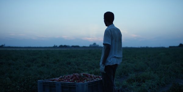 cetri-tires.org/press/2017/no-… <a href="/No_Cap_/">Associazione NoCap</a>  e <a href="/YvanSagnet/">Yvan Sagnet</a> a Mostra Internazionale d’Arte Cinematografica di #Venezia 2017 sezione Migrarti #Jululu