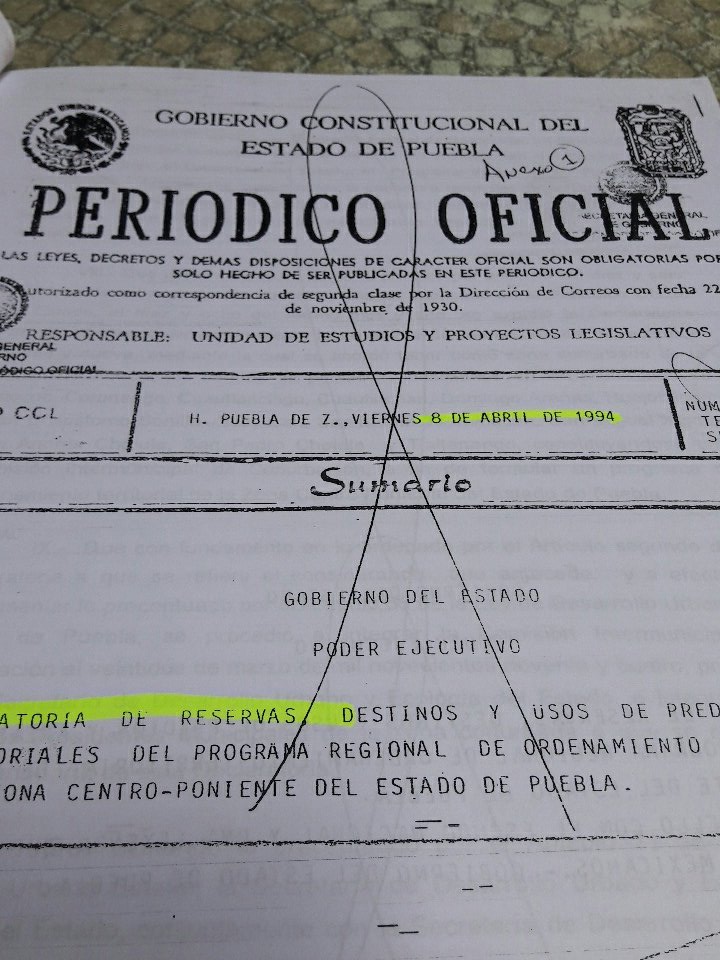 polodelara's tweet photo. @FerAbrajan1 Ojalá comenten sobre la pretensión de #talararboles y meter #franquicias #SitioArqueologico #BosquedeAmalucan  @elsoldepuebla1 https://t.co/l4FjTp0As4