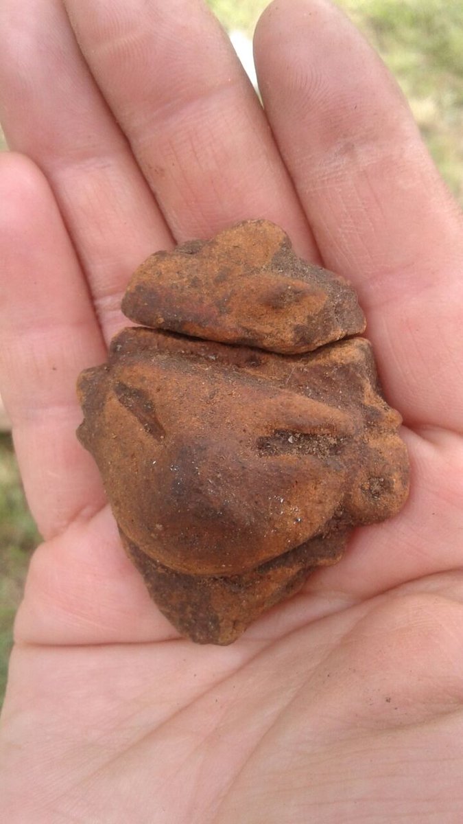BosqueAmalucan's tweet photo. ¡MIREN LO QUE ENCONTRAMOS! 
Es Zona Arqueológica. NO parque. @INAHmx ¿Cuál es la razón para destruir nuestra cultura?#AmalucanYaVive https://t.co/rLkvFbdp3i