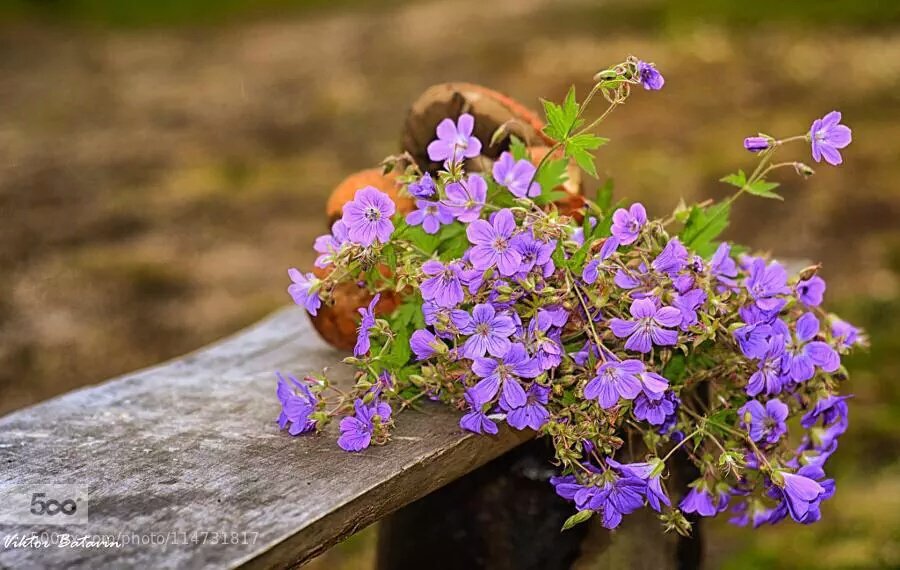 힘이들땐
이런것 쯤이야 하고 이겨내자

어려울땐
별것 아니다 생각하고 힘을내자

잘 안될땐
난 할수 있다 다짐하고 용기내자

막막할땐
다 잘될거다 믿고 견뎌내자

나쁜일이 있을땐
좋은날도 오겠지하고 기다리자

울고싶을땐
웃게되겠지하는 희망으로 살아가자
