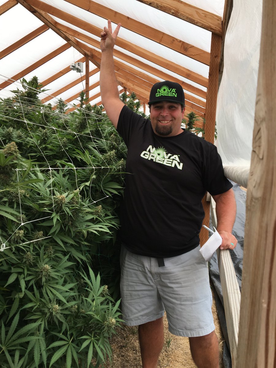 GrowNovaGreen's tweet photo. Technical Rep. Coulee Prince at a greenhouse in Oregon, using the entire NovaGreen line. They say it's their best crop ever! https://t.co/ArJrub8TfN