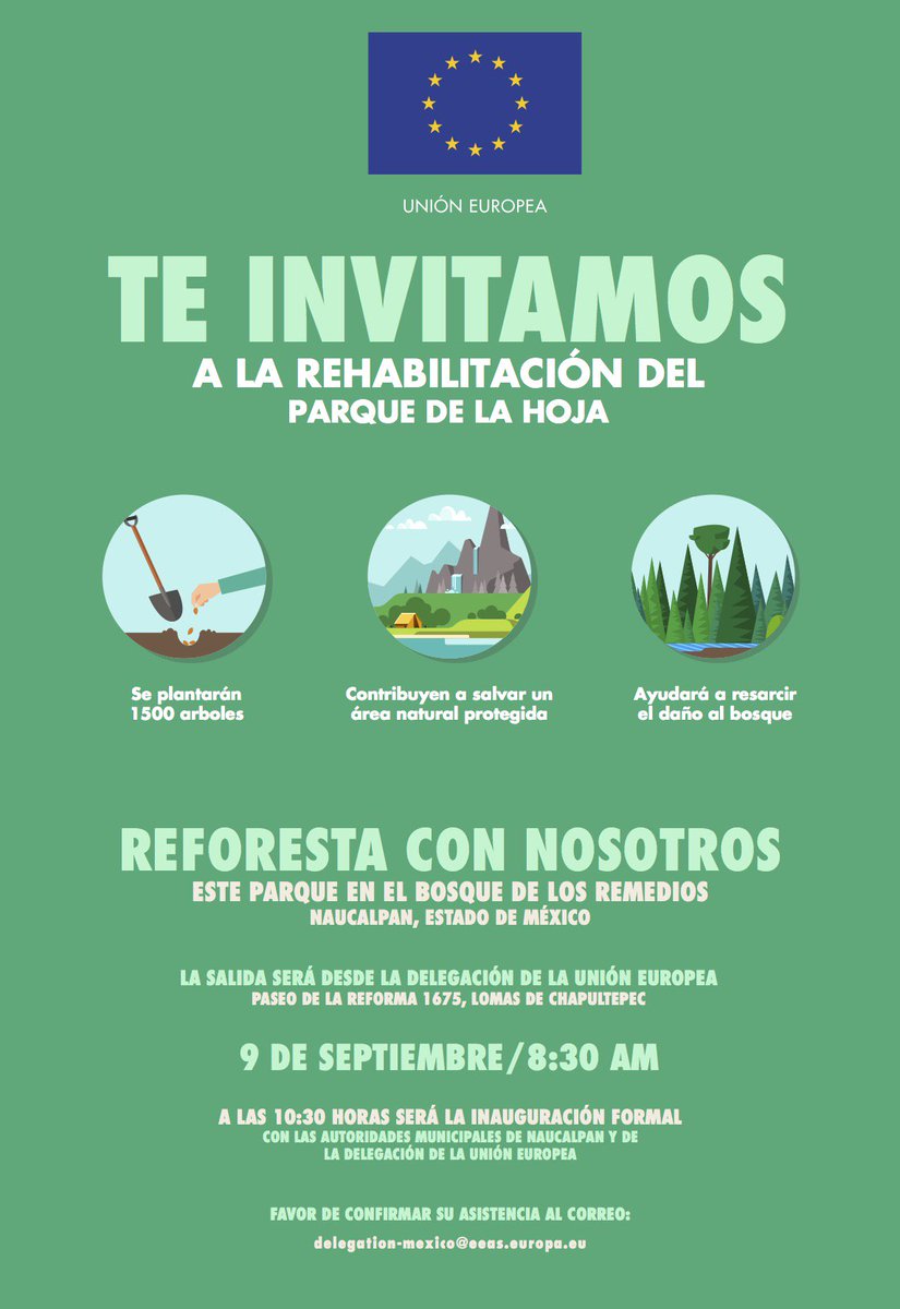 Bosque Unión Europea tweet media