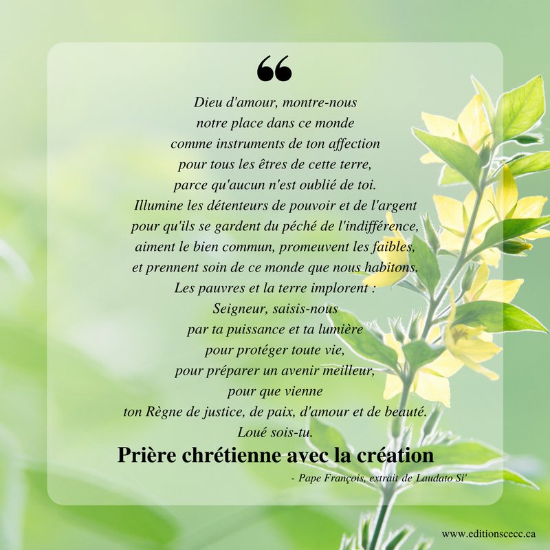 Éditions de la CECC tweet media