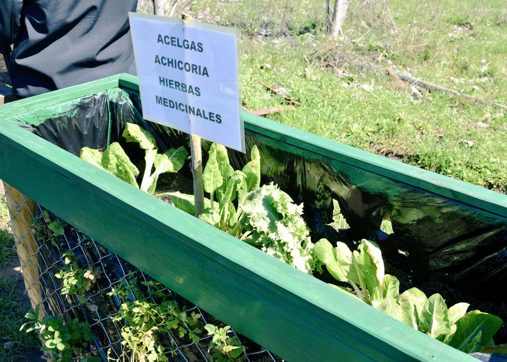 FOSIS_Maule's tweet photo. 160 escolares de 1º a 8º Básico de #Vaquería en #SanJavier aprenderán integralmente y con apego al medio ambiente gracias a #ViveTuHuerto https://t.co/3nMxGiChva