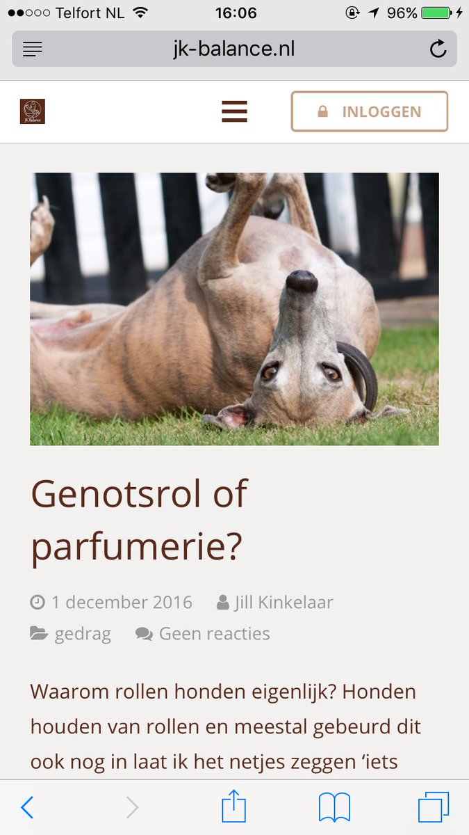 jkbalance1's tweet photo. Genotsrol of parfumerie? https://t.co/IF03c49KzP #hond #greyhound #jkbalance #rollen #stank #stinken #schuren #genieten #blog https://t.co/AVf2Nzc18i