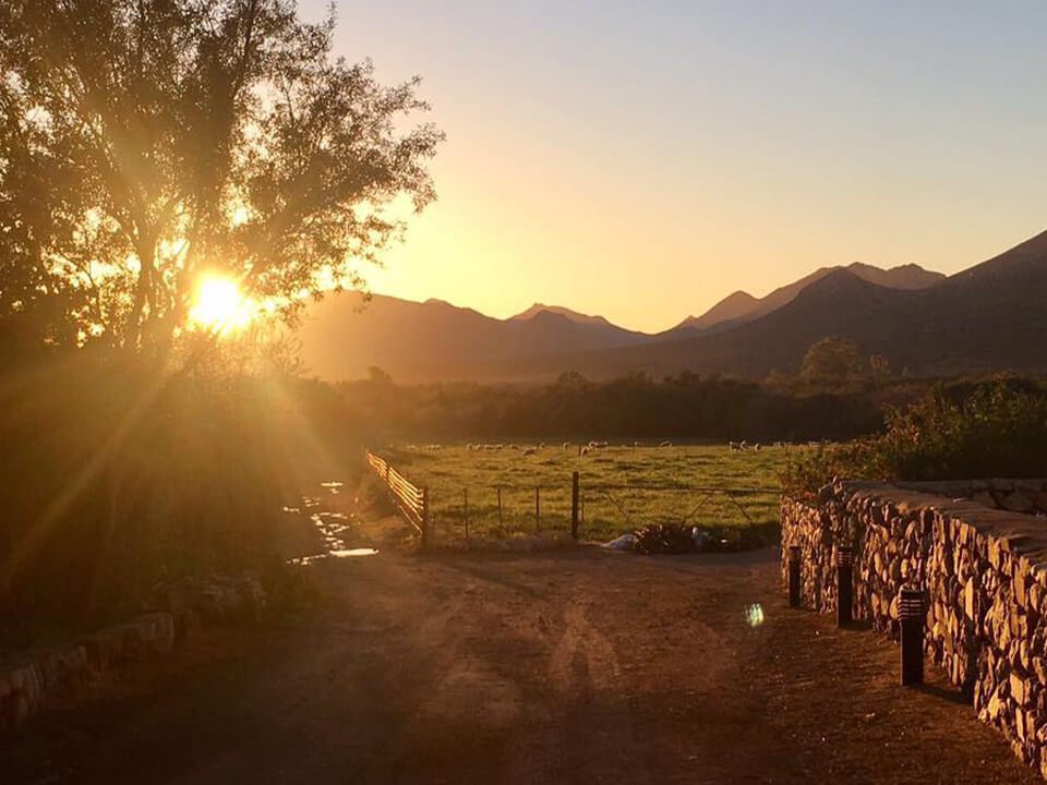 PBPsychologist's tweet photo. Reflections on a Retreat in the Karoo... read here: https://t.co/T0mxhbzLHs #mindfulness #relaxation #selfimprovement #karoo #retreat https://t.co/vJVkictu5s