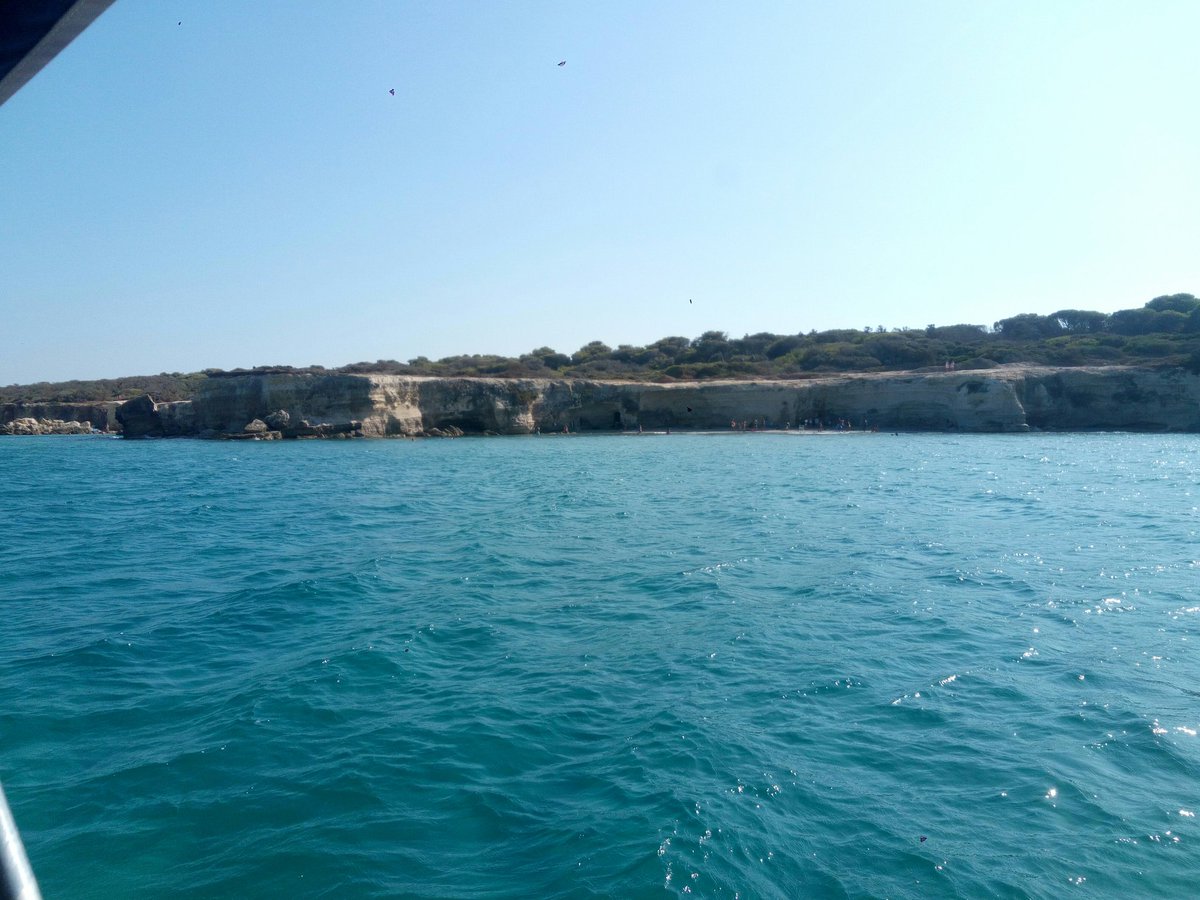 barcasalento's tweet photo. #live from
#concaspecchiulla
#salento #sempreprontiasalpare #weareinpuglia #escursionisalento #vistaterrasalento #gustalacosta https://t.co/f8TJQEiCZw