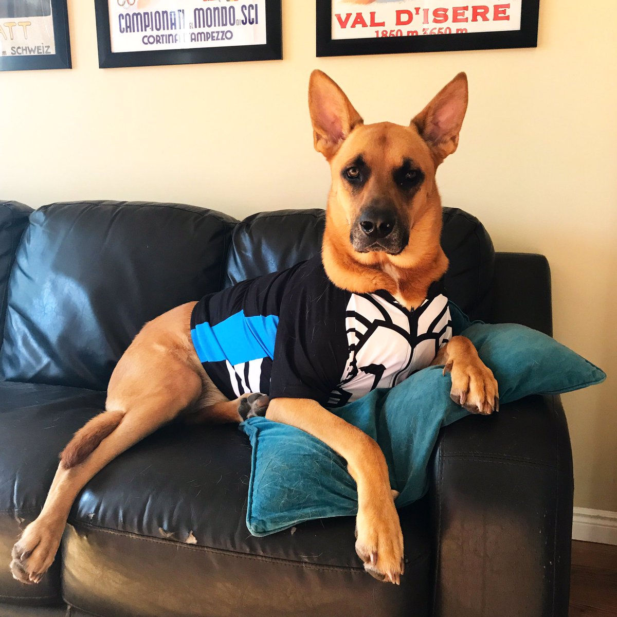 Larisa Yurkiw tweet media