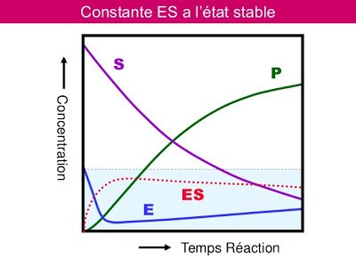 pdf la politique étrangère