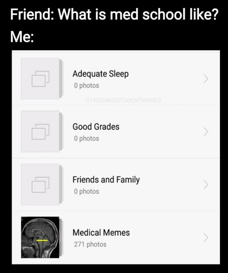 MyFirstCadaver's tweet photo. At least it's high yield, right? #ThursdayThoughts #meded #LifeofaMedStudent https://t.co/lrr1UXv2T1