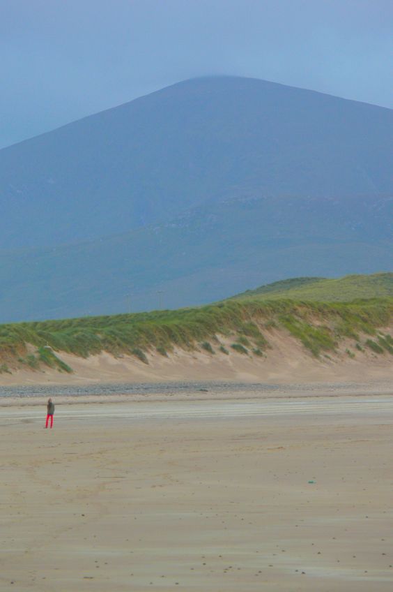 DzineLondon's tweet photo. What we did on our #holidays. #Edan negotiates the throng along #Castlegregory strand beneath #Stradbally & #Beenoskee out on the #Maharees. https://t.co/HtpAcljvt0