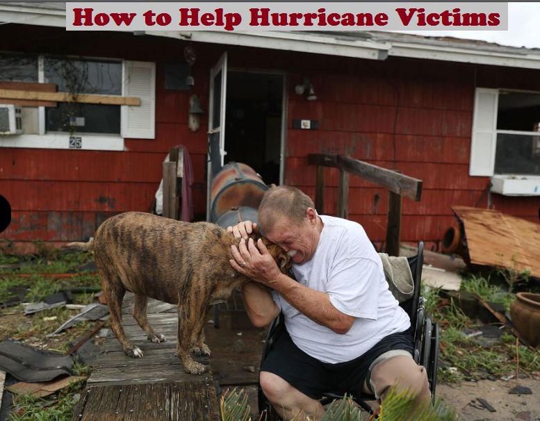 DailySlap's tweet image. Let's keep vital donations flowing to #hurricane victims. Help Humans bit.ly/2wpNJuy &amp;amp; Help Animals bit.ly/2erHBNU #harvey