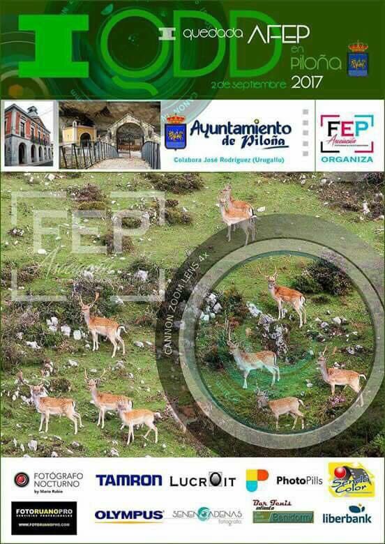 Tierra de Asturcones tweet media