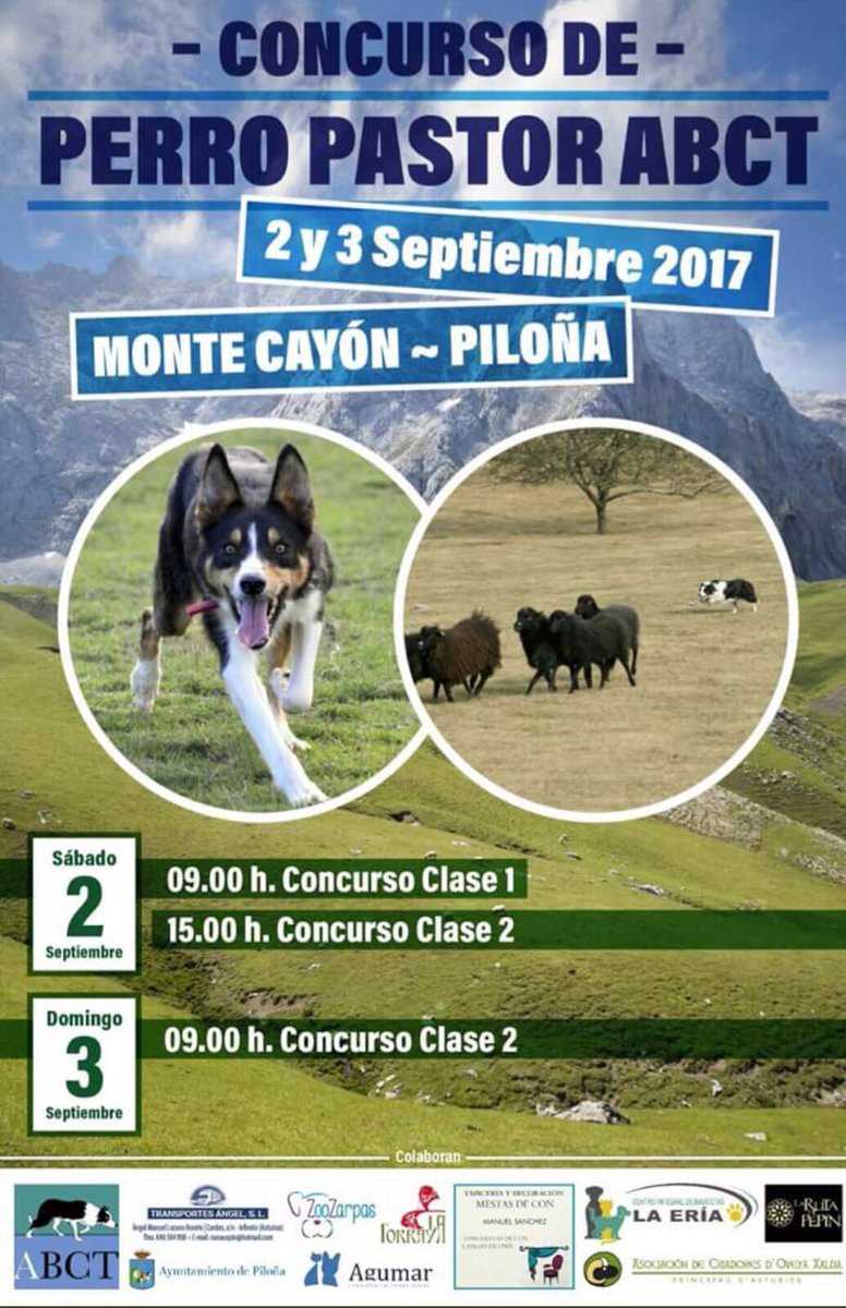 Tierra de Asturcones tweet media