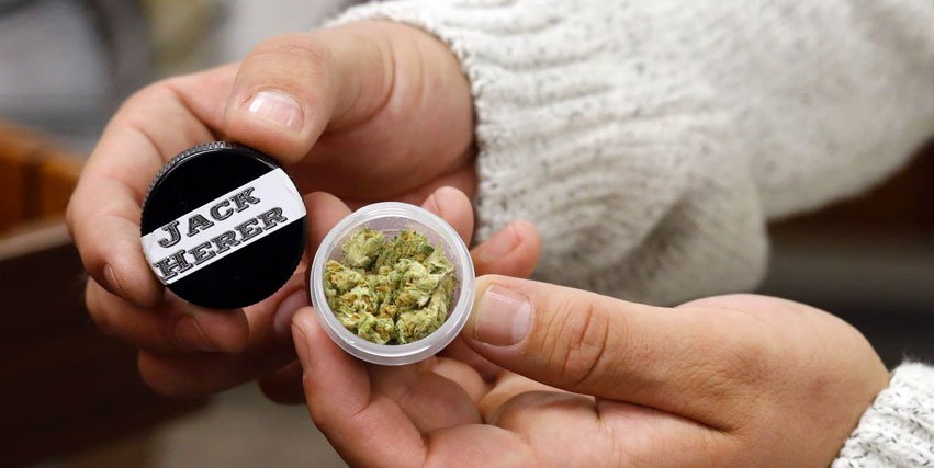 MasterSeedsCup's tweet photo. #HERB la #startup de medios especializada en #Cannabis obtiene inversión de 4.1 MDD https://t.co/ixz7vSclSE Vía  @CannabisNacion https://t.co/WGnvvkJ2Tp