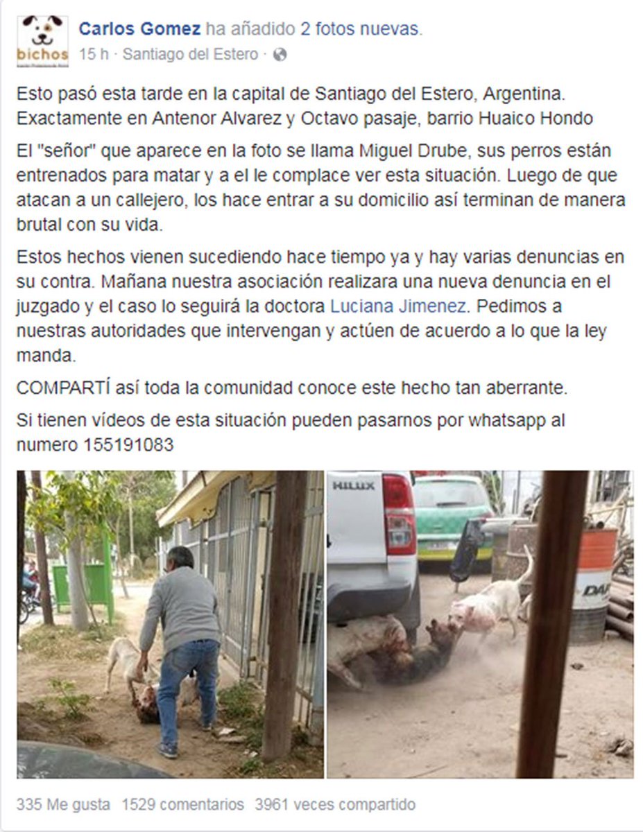sgfuertes's tweet photo. Santiago del Estero. Denuncian que este tipo mete perros callejeros a su casa para que sus dogos los maten. Si es así, prisión YA mismo. https://t.co/XTAkkR6tHN