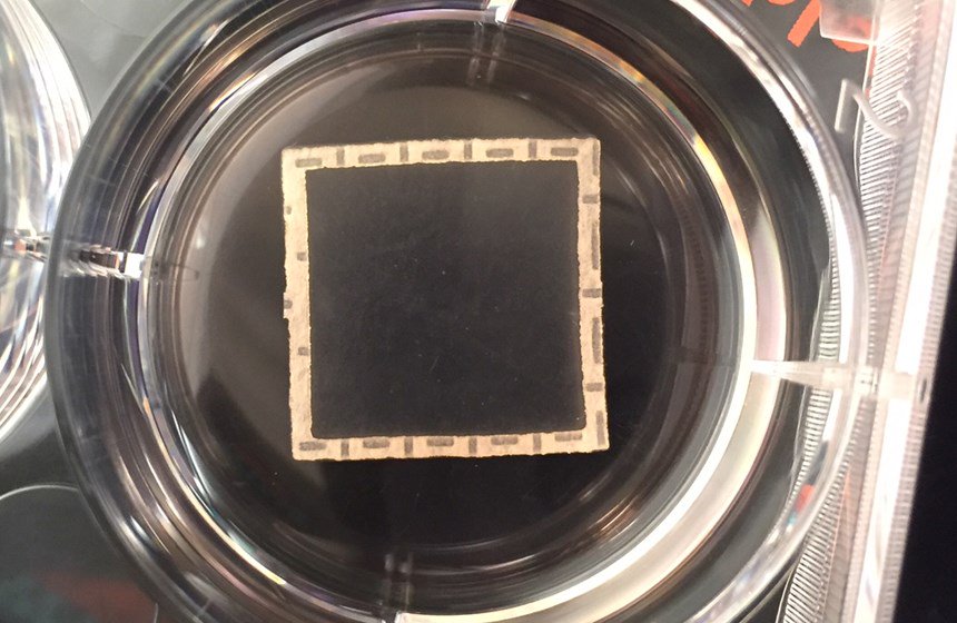 ThingeeCorp's tweet image. Could a patch change the entire approach to critical cardiac care? This you must see! #heartpatch ow.ly/Zig330eJdaN