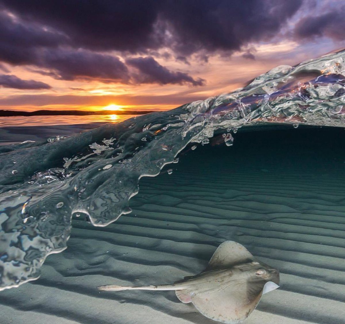 OceanObsessions's tweet image. Operaytion sunset completed