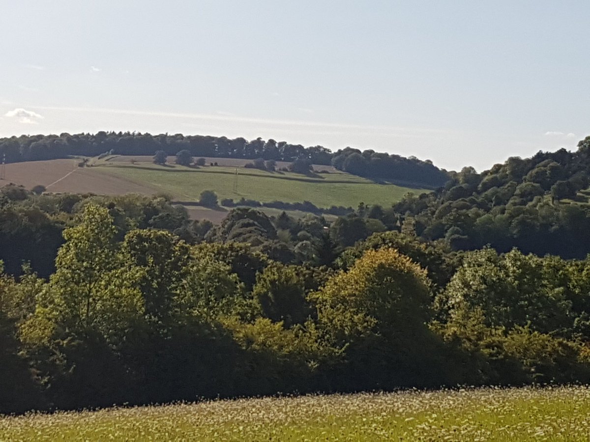 Just some pretty pics from bank holiday. #photography #nature #NaturePhotography #buckinghamshire
