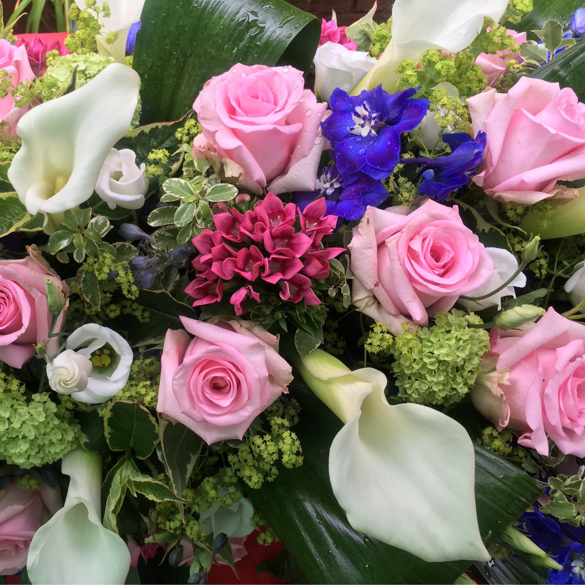 CaveRosie's tweet image. Thank you so much @HardingFlowers for all your hard work creating these beautiful flowers for my Granny's funeral. She would of loved them💕