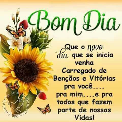 WanderAndrade8 tweet picture
