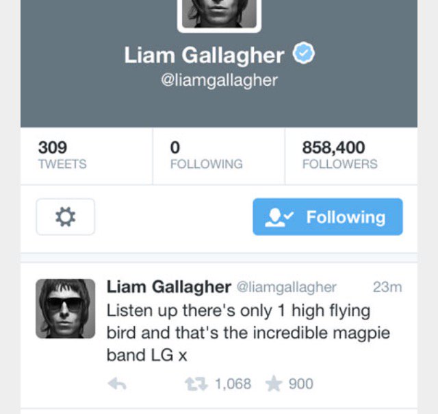 MattyRhythm's tweet photo. @liamgallagher Can't fucking wait! Any chance of The Incredible Magpie Band joining you for Leeds??? https://t.co/yYJ2XJv0zu