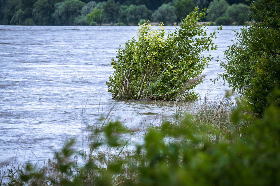 CltAquatics's tweet photo. Actions to take when you receive a flood watch/warning + what to do before, during &amp; after a flood. https://t.co/quNn14Ngyl @Readygov https://t.co/WOvu6Lj4aD