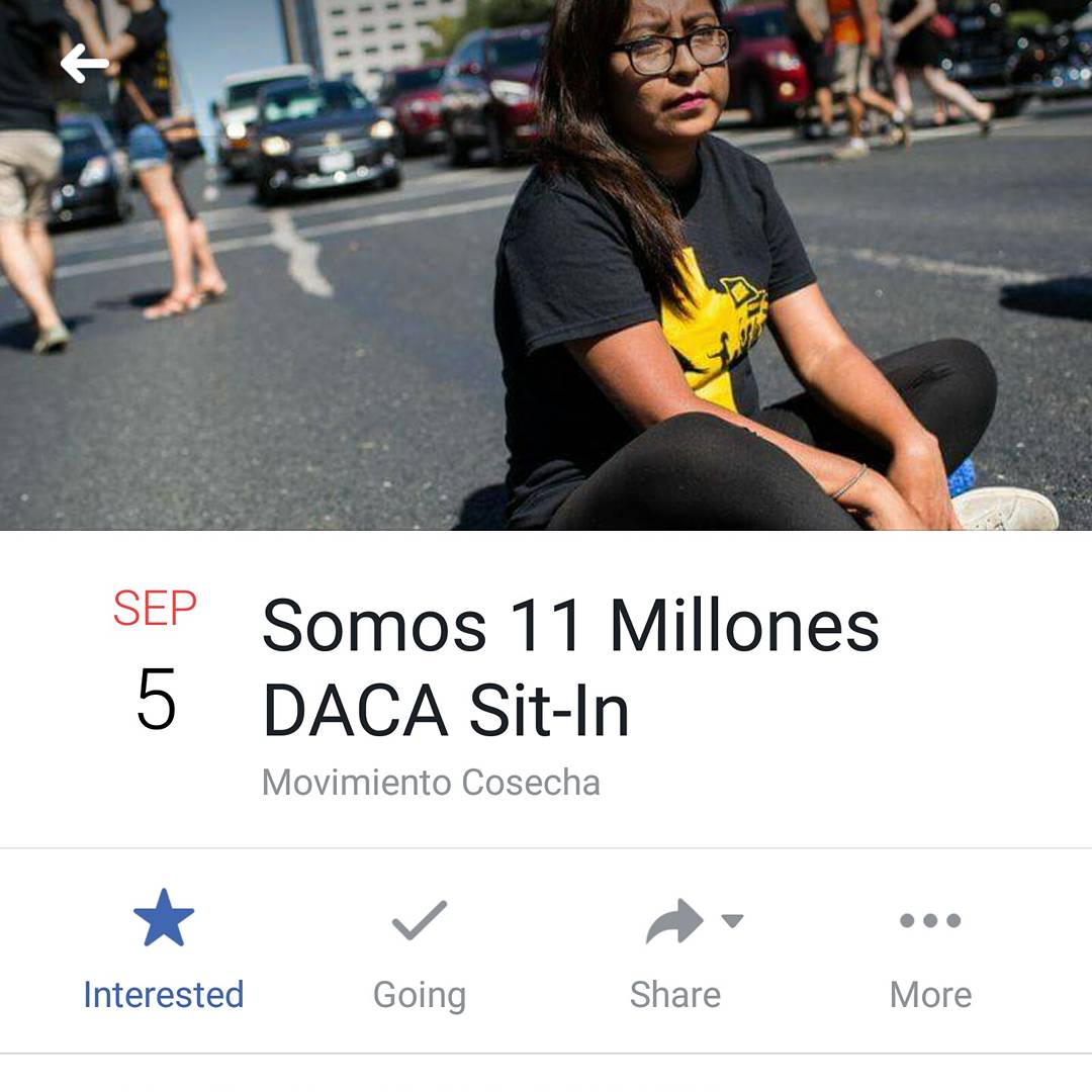 NYSYLC's tweet photo. Join us MONDAY to make art for @CosechaMovement 's 9/5 #DACA sit in! 🖌📣
#immigration #undocumented #immigrants #nyc #outragedandunafraid https://t.co/IFZwrzNOYq