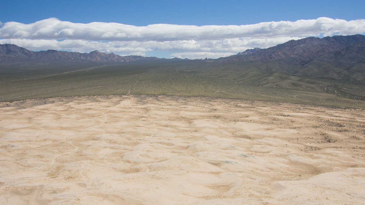 even flow tweet media