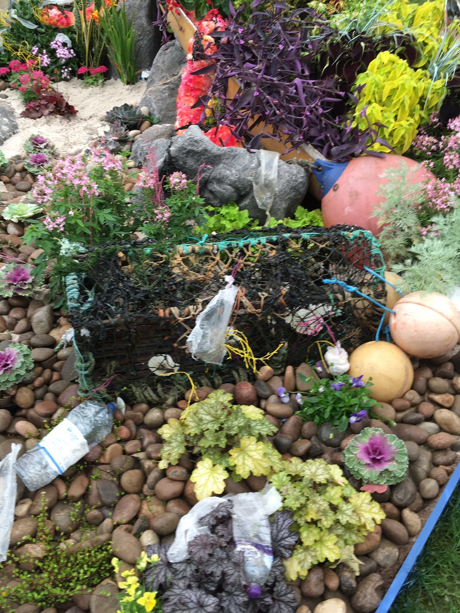 DASAVPKingsway's tweet photo. Display finished for Dundee Flower and Food Festival 😅@dundee_angus https://t.co/jJ3JI7ixu5