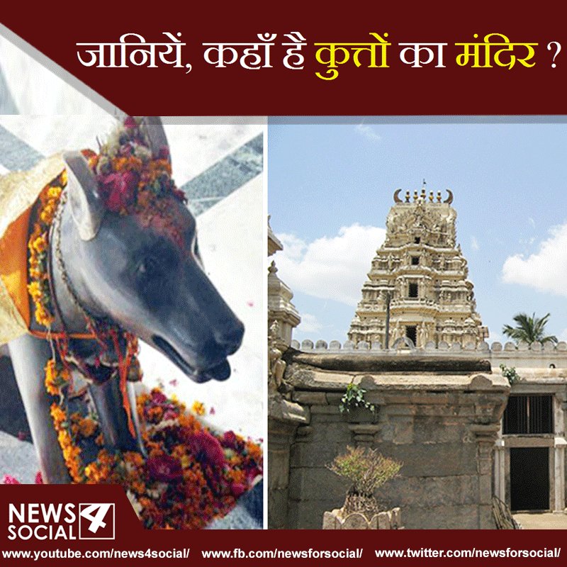 newsforsocial's tweet photo. जानियें, कहाँ है कुत्तों का मंदिर?
#BANGLORE
#DOGS #DOGSTEMPLE
#NEWS4SOCIAL #NEWSFORSOCIAL
https://t.co/mdceORjRiw https://t.co/iK8NwVJEOA