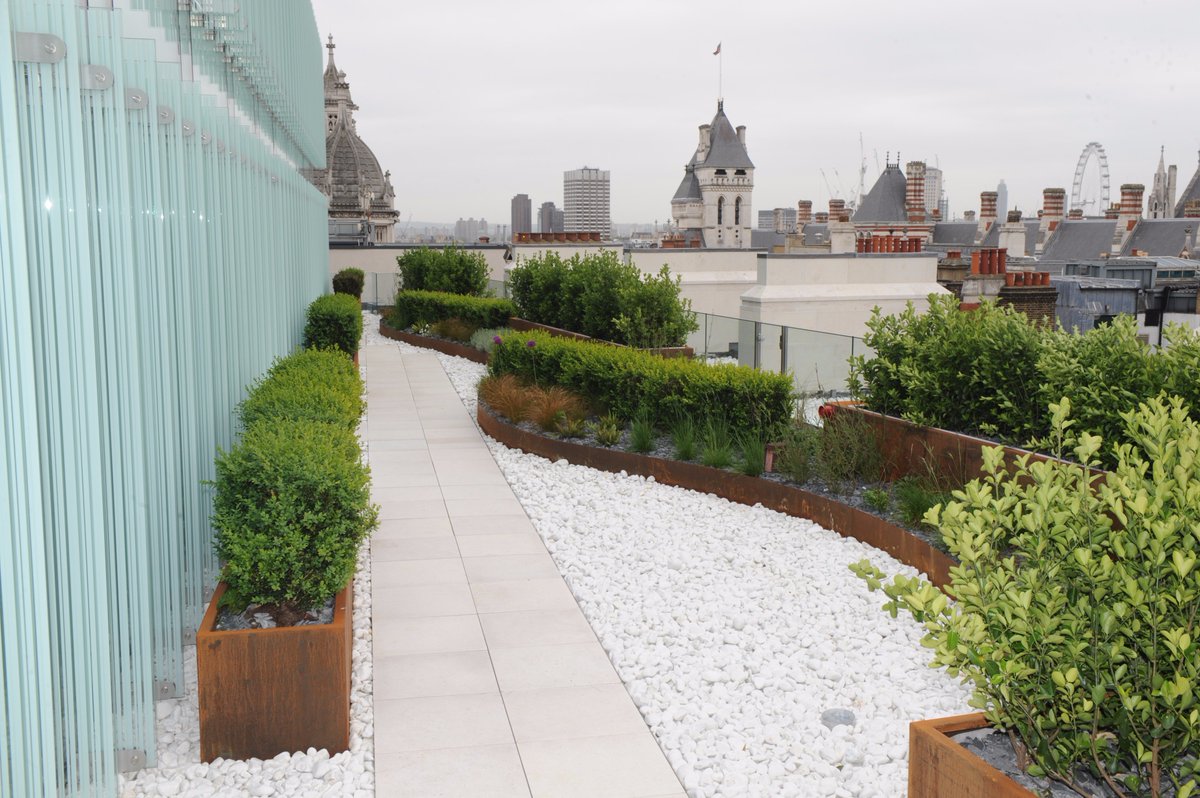 Follow <a href="/aztecplantsuk/">Aztec Plants</a>

#workplacegoals #aztecplants #goals #plantlife #green #freh