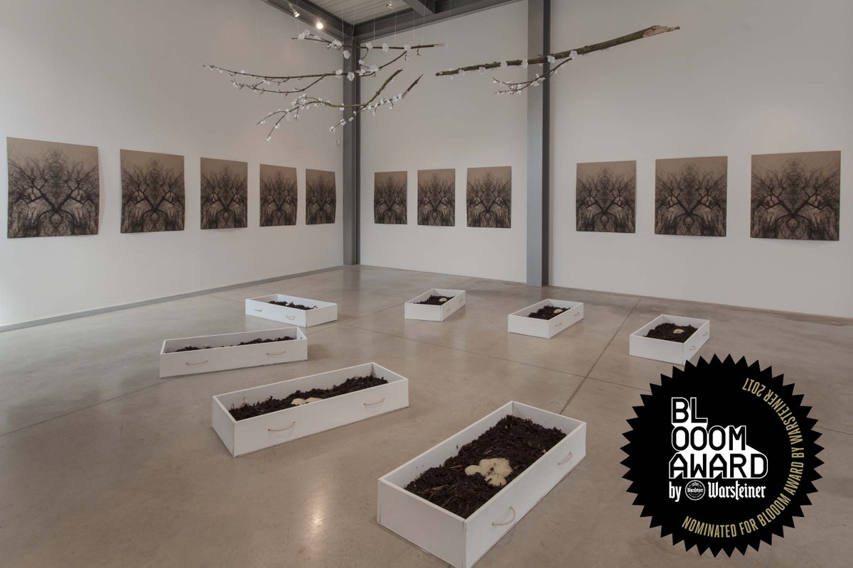 olivander5's tweet photo. @blooomaward @blooomaward #nominated #annelindner #award #show #art #installation #gardenofthoughts #artistic #harikoartist #hariko https://t.co/kw7KBAHDE9