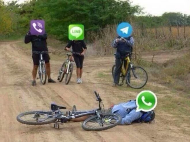 ProAndroid's tweet photo. WhatsApp se ha caído :// https://t.co/A0M2QCbjMn