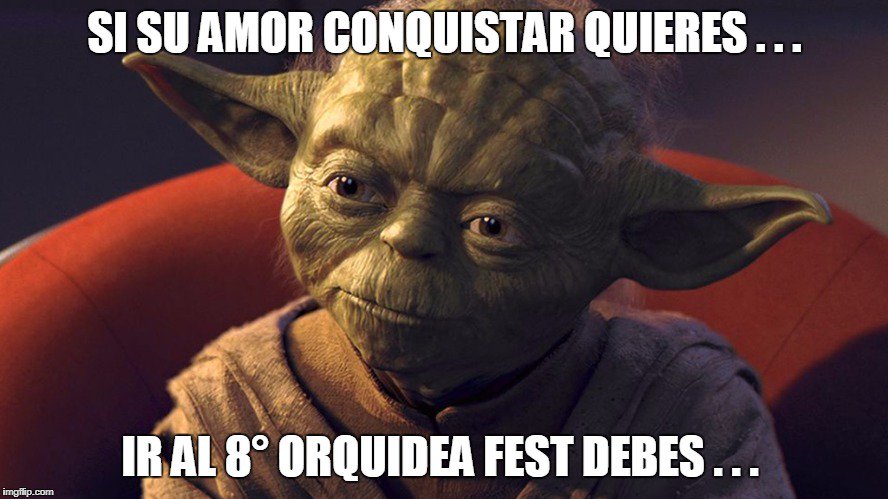 OrquideaFest's tweet photo. ¡Las Mujeres aman las Orquídeas y conquistarlas será todo un éxito! Ven al @OrquideaFest y conviértete en el mejor amante... @CapitalFM973 https://t.co/eoifxgnwia